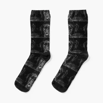 Черные носки для лабрадора Ретривера, носки с цветочным рисунком, зимние носки, носки для мальчиков, женские